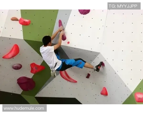 西安攀岩队灵活性变革引发热议探索攀岩运动的新发展路径 西安攀岩队灵活性变革引发热议探索攀岩运动的新发展路径