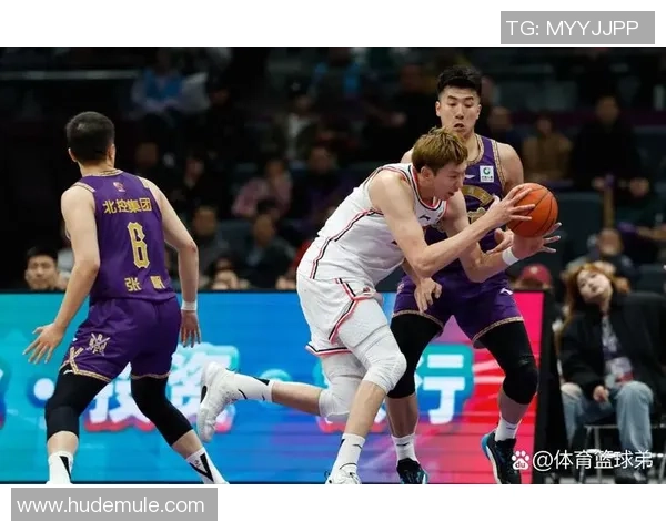 西安篮球队实力提升引发热议球迷期待新赛季表现