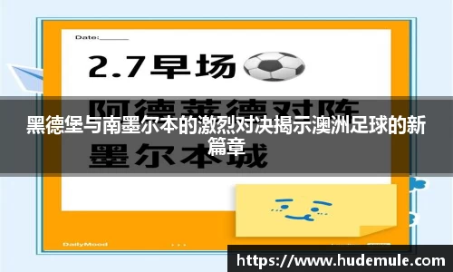 bsports官网入口
