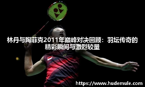 林丹与陶菲克2011年巅峰对决回顾：羽坛传奇的精彩瞬间与激烈较量