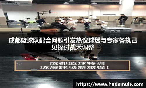 成都篮球队配合问题引发热议球迷与专家各执己见探讨战术调整
