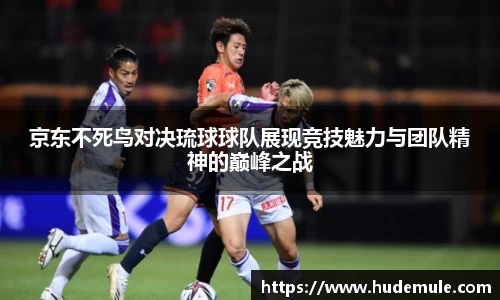 B体育bsports