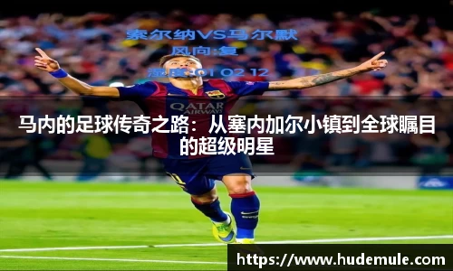 bsports官网入口