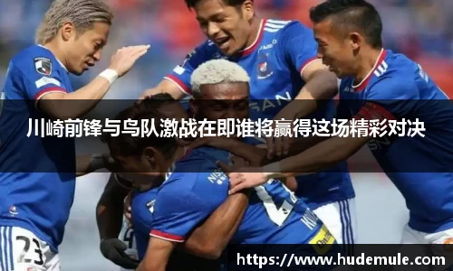 川崎前锋与鸟队激战在即谁将赢得这场精彩对决